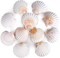 8-Pack Natural White Scallop Seashells, 4–4.5 Inch, Perfect for DIY Crafts, Home Décor, Beach Weddings, and Nautical-Themed Decorations